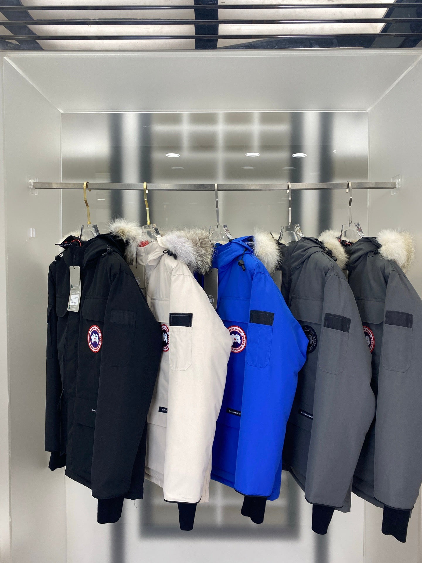 Canda Goose #08 Expedition（Black and white）