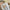 Burberry 2026 Letter Patterned T-shirt