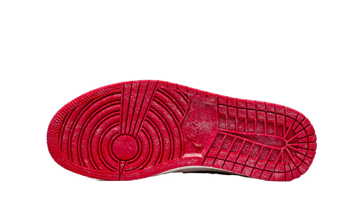 Air Jordan 1 Retro High OG "Lost and Found"